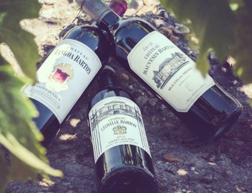 Stock Barton Bordeaux Wine Dinner with Lillian Barton Sartorius (6th Nov)