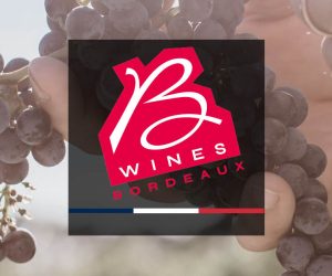 Bordeaux Wine Month 2024